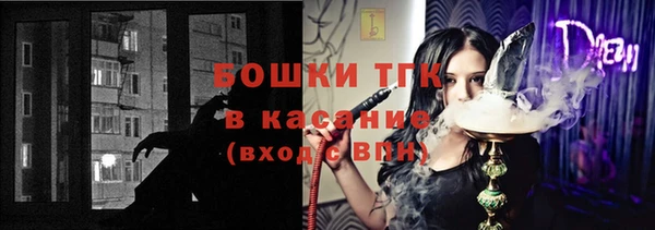 тгк Алзамай
