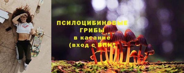 тгк Алзамай