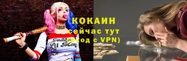 круглые Алексеевка