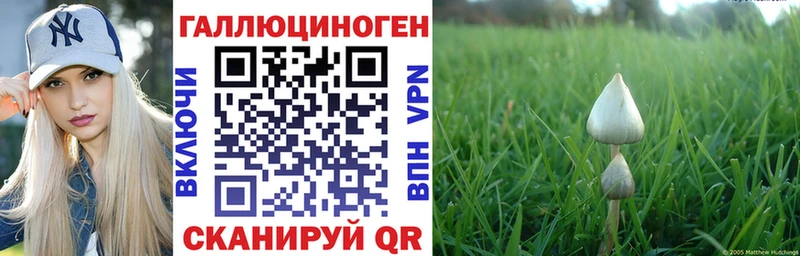 ОМГ ОМГ маркетплейс  Арамиль  Галлюциногенные грибы Cubensis 