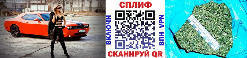 Каннабис ГИДРОПОН  Арамиль 